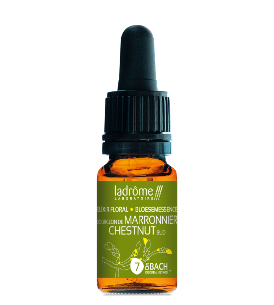 Fleur de Bach Bourgeons de Marronnier bio et franaise Ladrme Laboratoire Fleur de Bach Bourgeons de Marronnier bio et franaise Ladrme Laboratoire