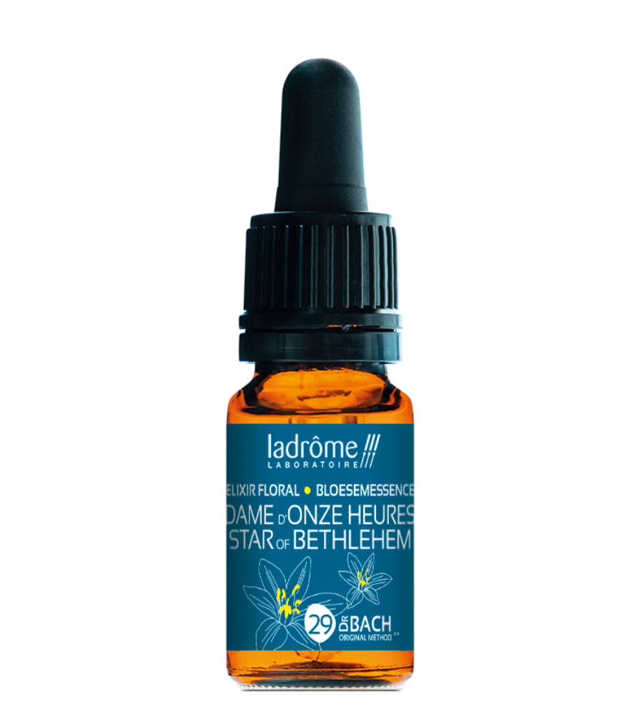 Fleur de Bach DAME D'ONZE HEURES bio et franaise : chocs motionnels   Ladrme Laboratoire