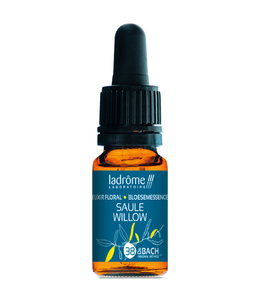 Fleurs De Bach N°38 Willow (Saule) - Biofloral, Flacon Neuf
