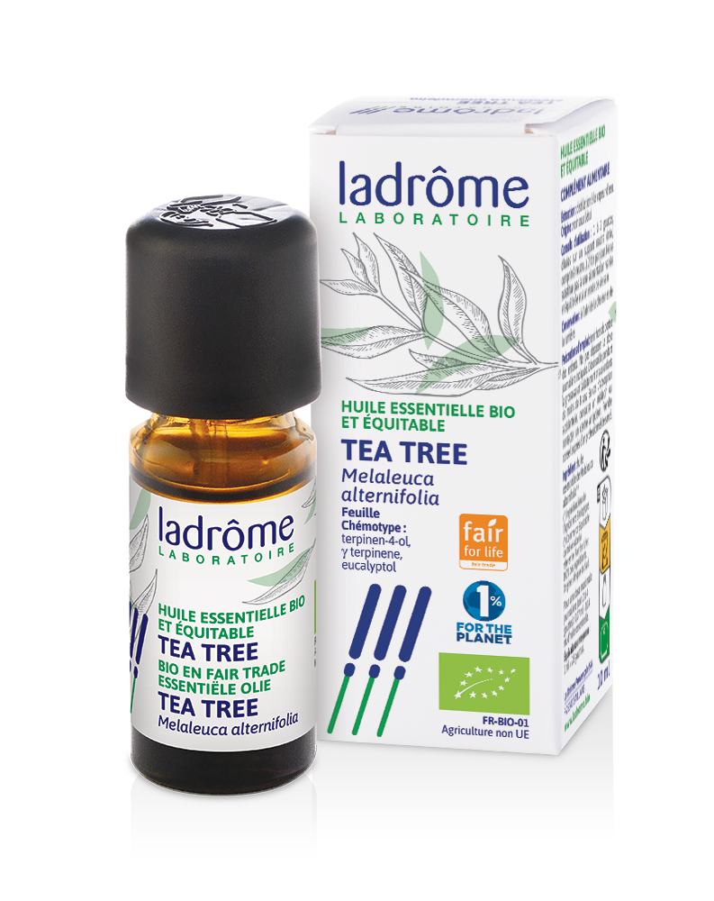 Huile essentielle de Tea tree bio (Arbre à thé) - Ladrôme Laboratoire