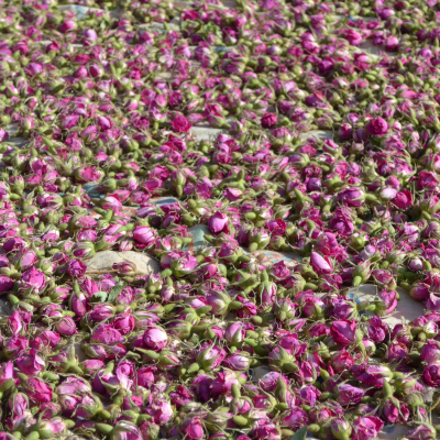 Eau florale de Rose de Damas