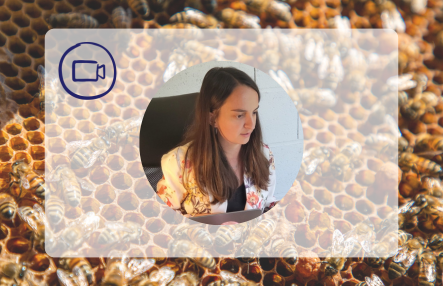 Abeilles & Biodiversité