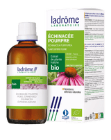 Échinacée pourpre - Extrait bio