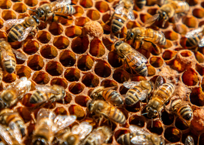 Image de fond de la carte promotionnelle