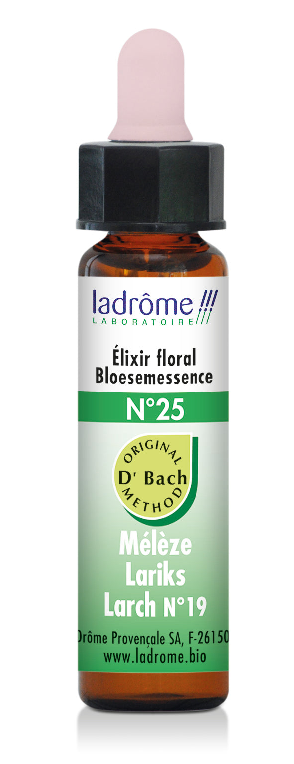 Mélèze - Fleur de Bach bio