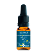 Mélèze - Fleur de Bach bio