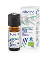 Eucalyptus radié - Huile essentielle bio