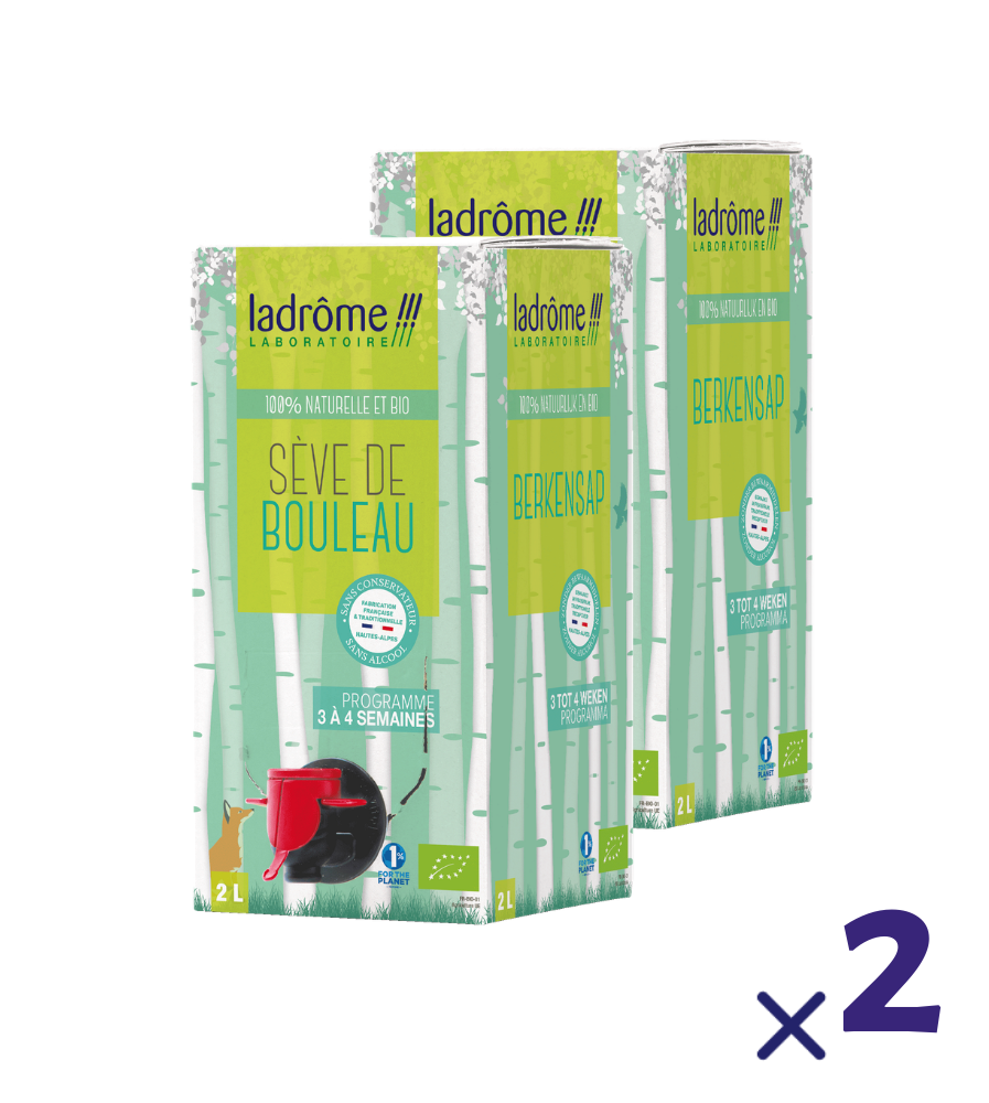 Sève de Bouleau bio - Format 2L