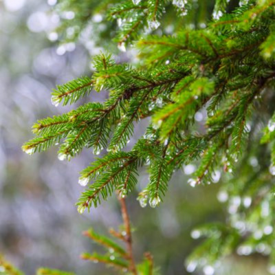 Image de fond de la carte promotionnelle