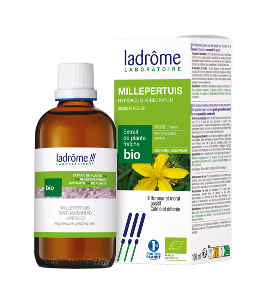 Millepertuis - Extrait bio