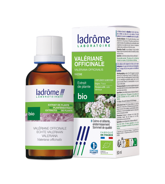 Valériane officinale - Extrait bio