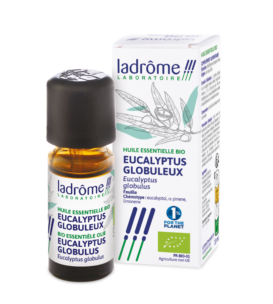Eucalyptus globuleux - Huile essentielle bio