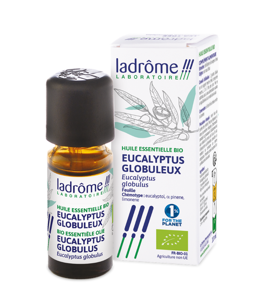 Eucalyptus globuleux - Huile essentielle bio