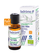 Tea tree (Arbre à thé) - Huile essentielle bio