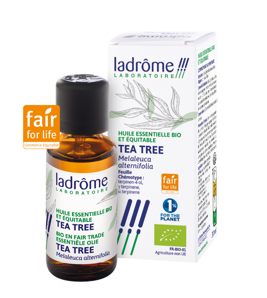 Tea tree (Arbre à thé) - Huile essentielle bio
