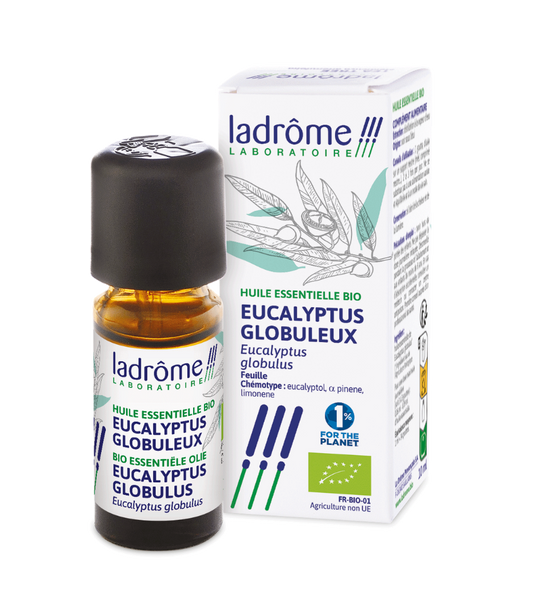 Eucalyptus globuleux - Huile essentielle bio