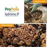 Extrait liquide de Propolis brune + verte bio