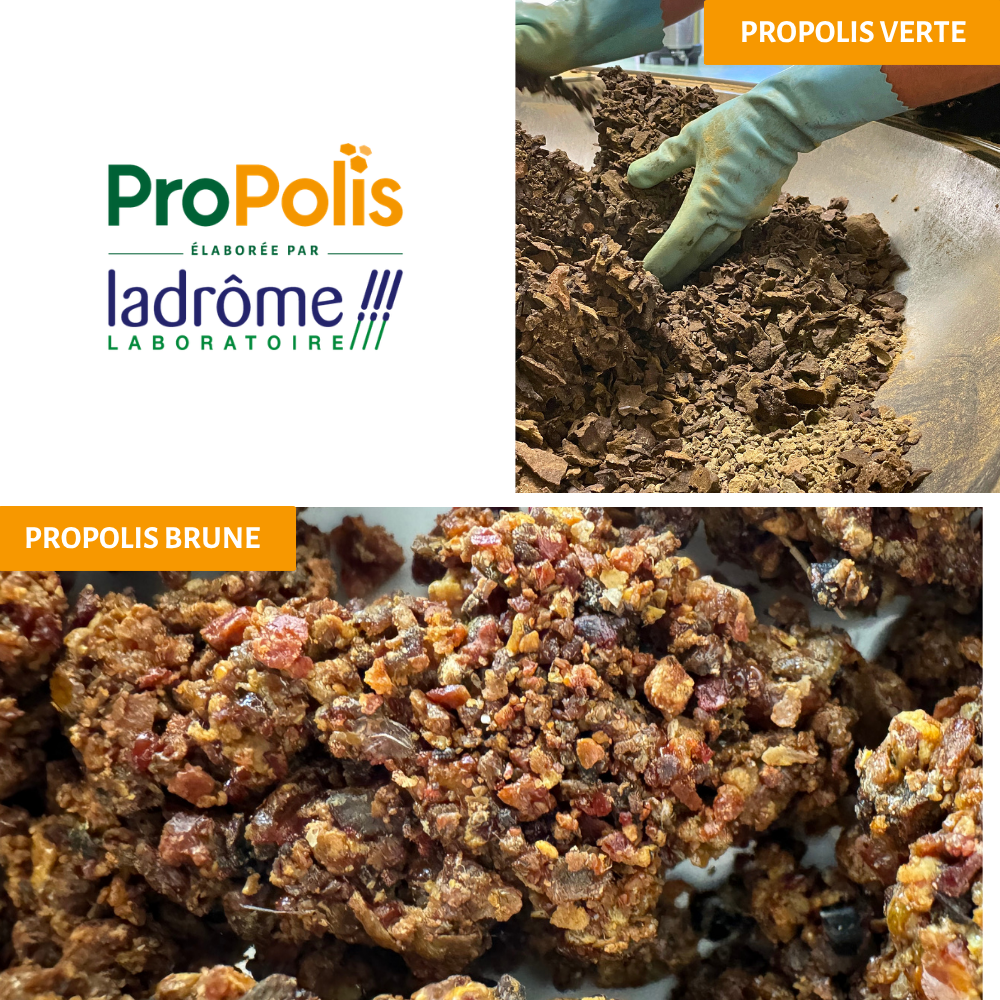Extrait liquide de Propolis brune + verte bio