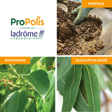 Fyto'Rub Propolis - Baume pectoral bio