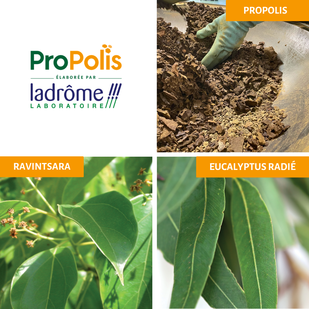 Fyto'Rub Propolis - Baume pectoral bio