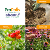 Ampoules Immuno+ Propolis bio