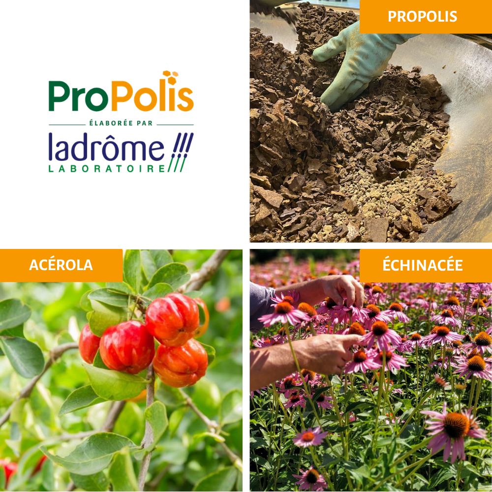 Ampoules Immuno+ Propolis bio