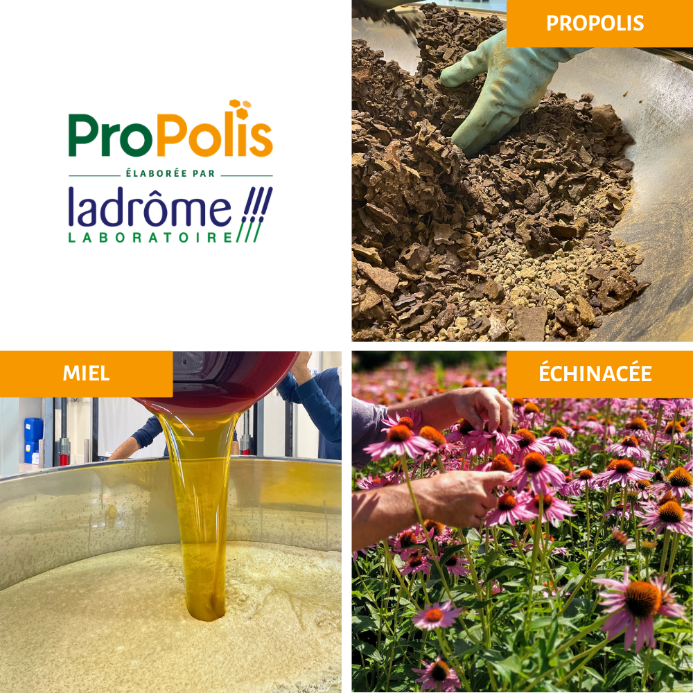 Sirop Propolis bio - Gorge et Immunité