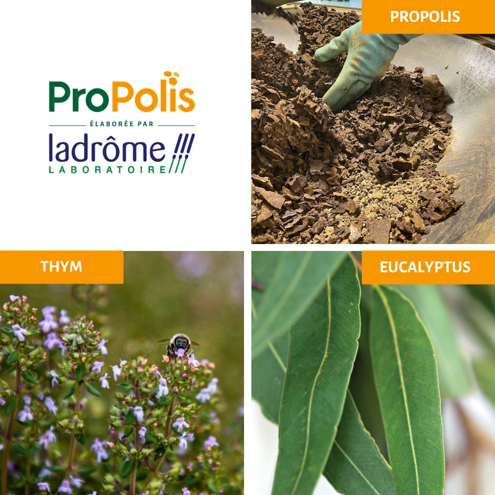 Spray nasal décongestionnant à la Propolis bio