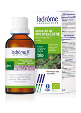 Aiguilles de Pin - Extrait bio
