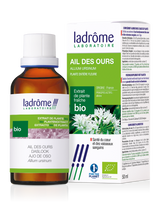 Ail des ours - Extrait bio