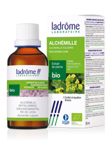 Alchémille - Extrait bio