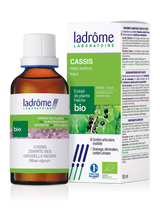 Cassis - Extrait bio