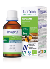 Curcuma - Extrait bio