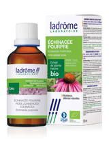 Échinacée pourpre - Extrait bio