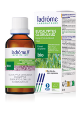 Eucalyptus globuleux - Extrait bio