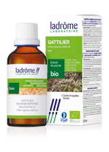 Gattilier - Extrait bio