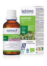 Genévrier - Extrait bio
