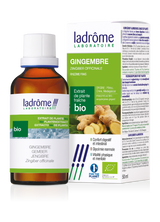 Gingembre - Extrait bio