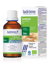 Ginseng - Extrait bio