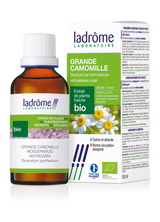 Grande camomille - Extrait bio
