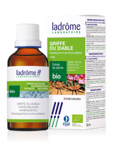 Griffe du diable (Harpagophytum) - Extrait bio