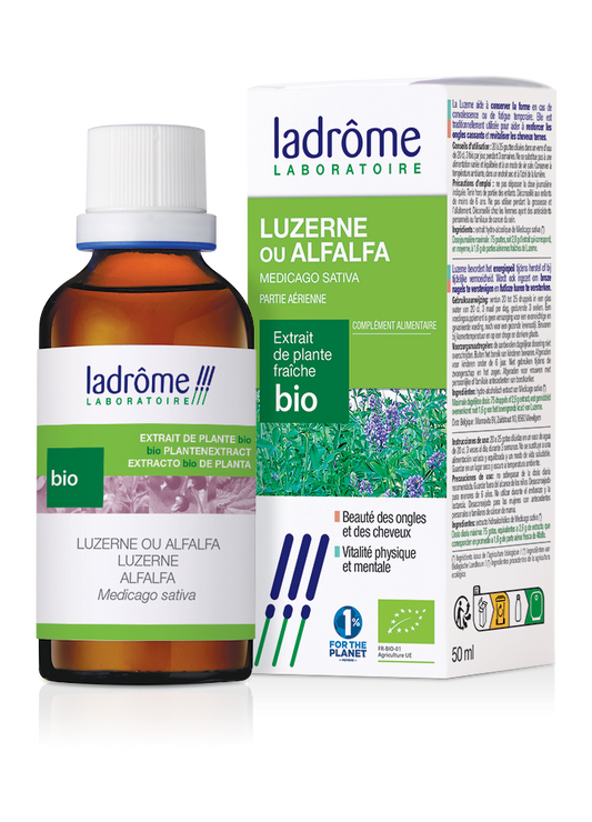 Luzerne ou Alfalfa - Extrait bio