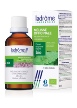 Mélisse officinale - Extrait bio