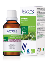 Noyer - Extrait bio