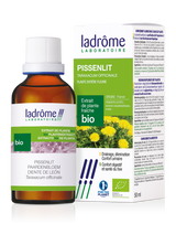 Pissenlit - Extrait bio