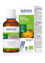 Souci officinal - Extrait bio