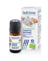 Carotte sauvage - Huile essentielle bio